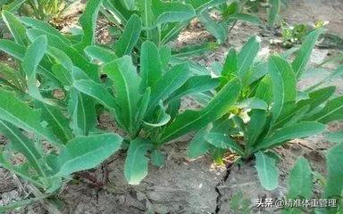 在野外不小心划伤了流血怎么办,野外不小心划破伤口