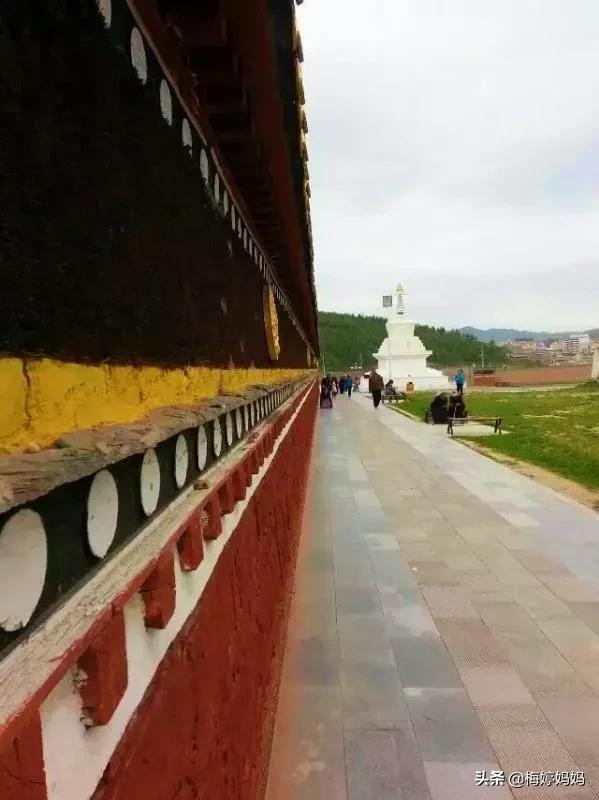 去甘南则岔石林,甘南省则岔石林