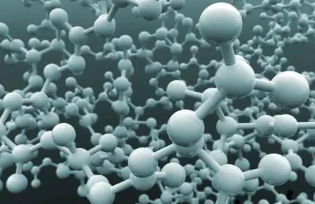 黑柄炭角菌长树上,黑柄炭角菌可食吗