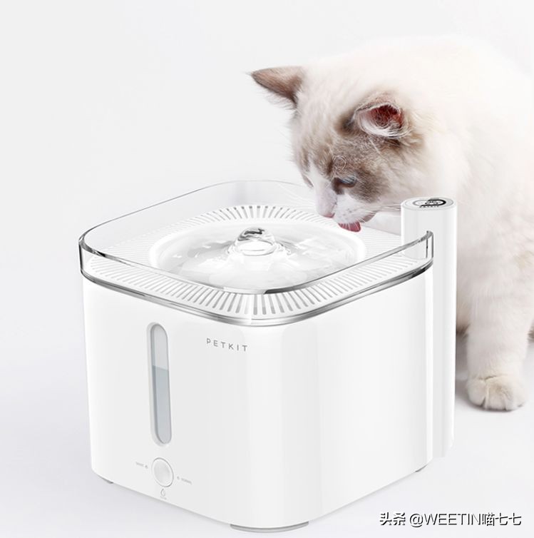 十大最鸡肋的家居神器,有哪些是鸡肋家居用品