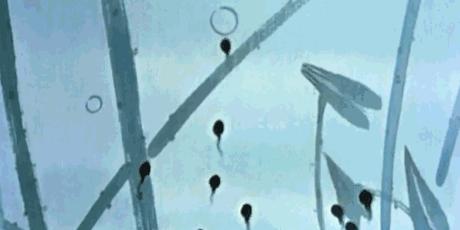 大便给憋回去了对身体有什么影响,长时间憋屎憋屁会得什么病