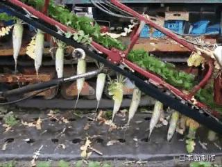 日本农业微型机器,日本农业机械基础