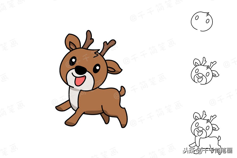 豹子乌龟简笔画,儿童画画8-10岁简笔画小动物