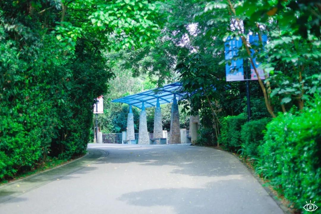 深圳宝藏公园风景图片,深圳宝藏自然游乐区