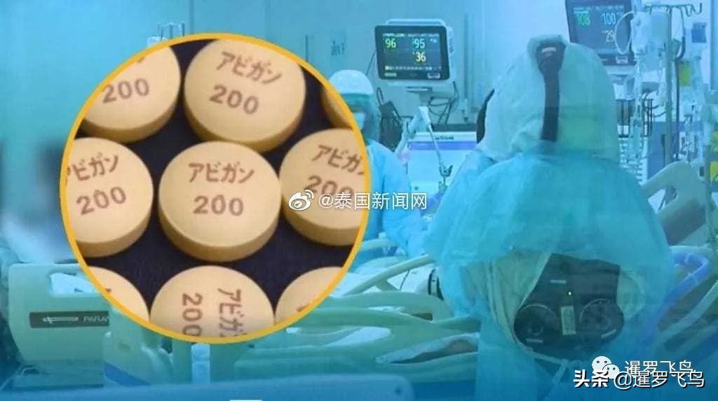 娉板浗鏀垮簻鎵撳嚮鍋囪揣,娉曞尮鎷夐煢娉板浗