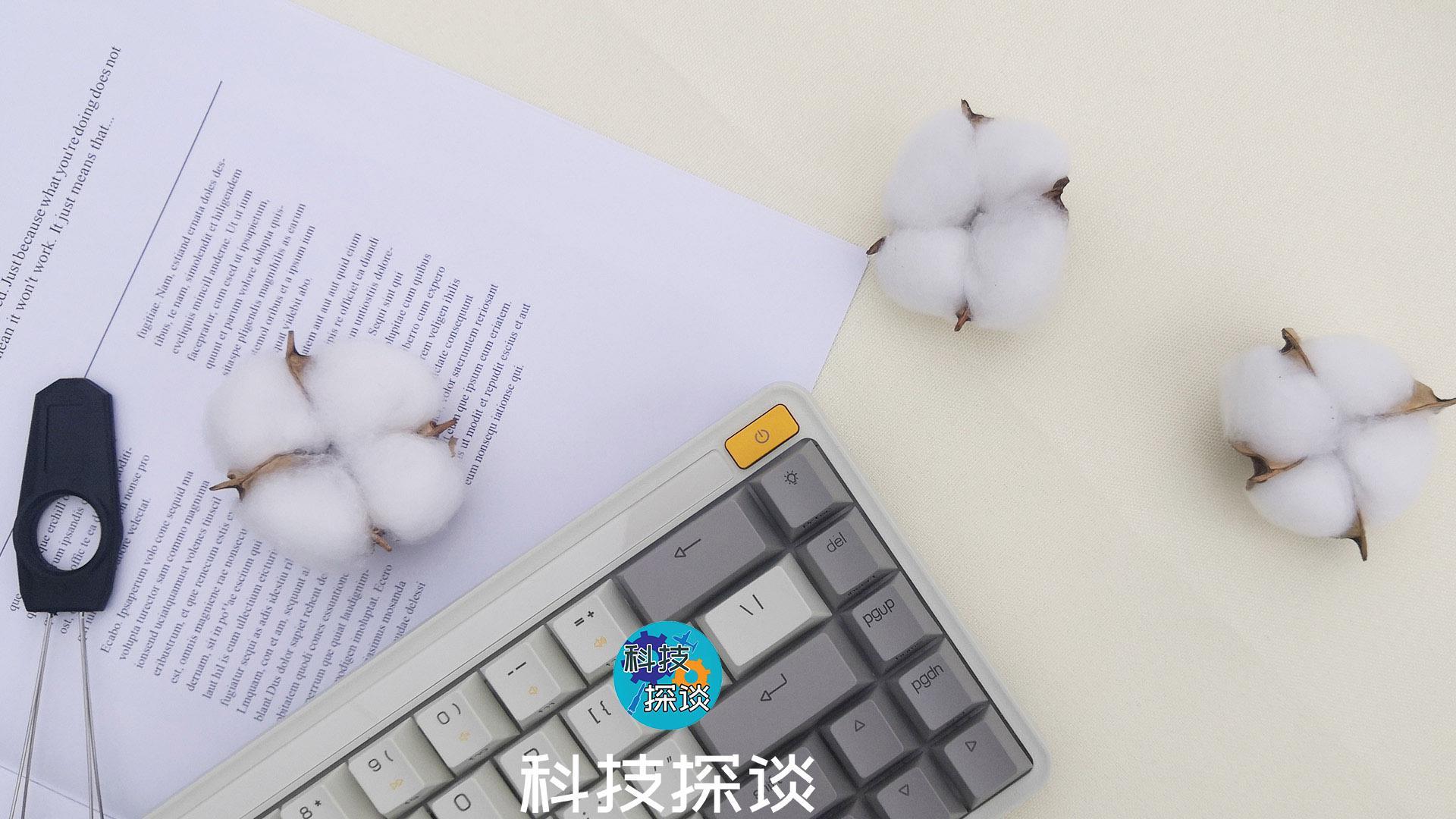 键盘佳达隆g黄轴,佳隆达g白轴pro手感