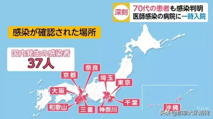 日本钻石公主号什么情况,钻石公主号简介国籍