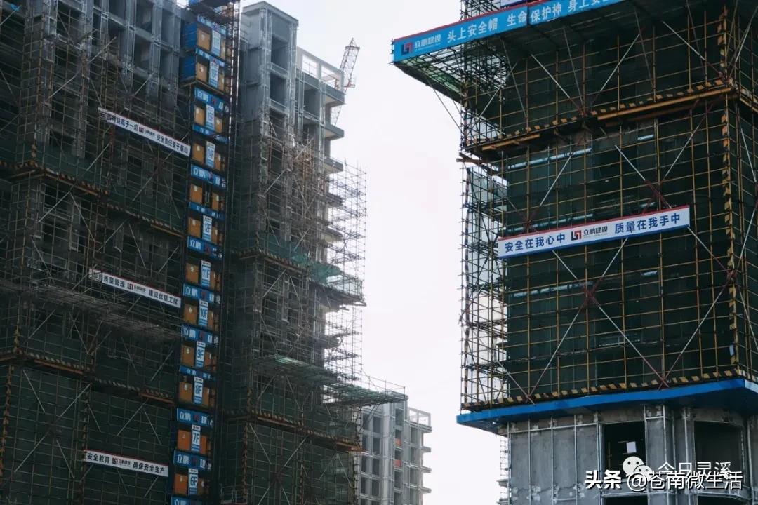 住在灵溪什么感觉,灵溪住顶楼什么体验