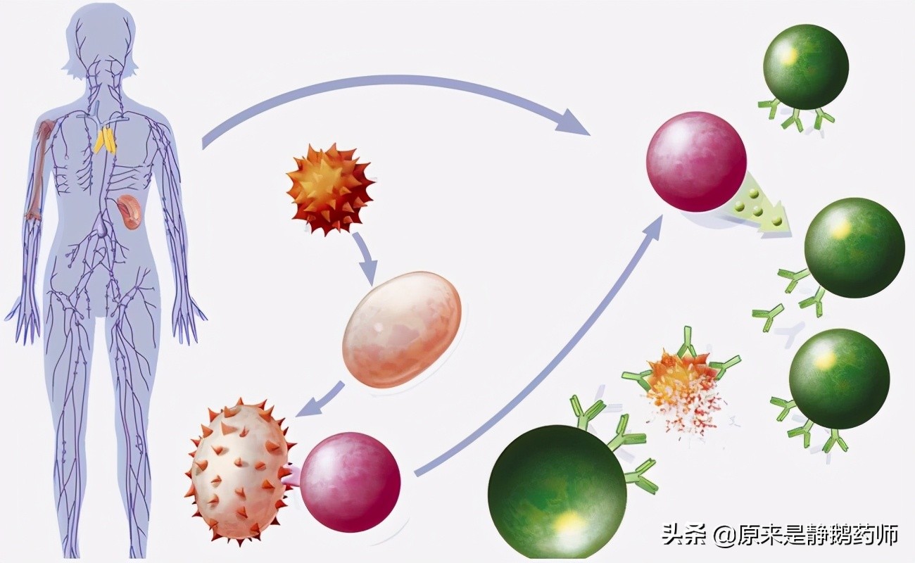 过敏一般看中医哪个科室,过敏要去看什么科室
