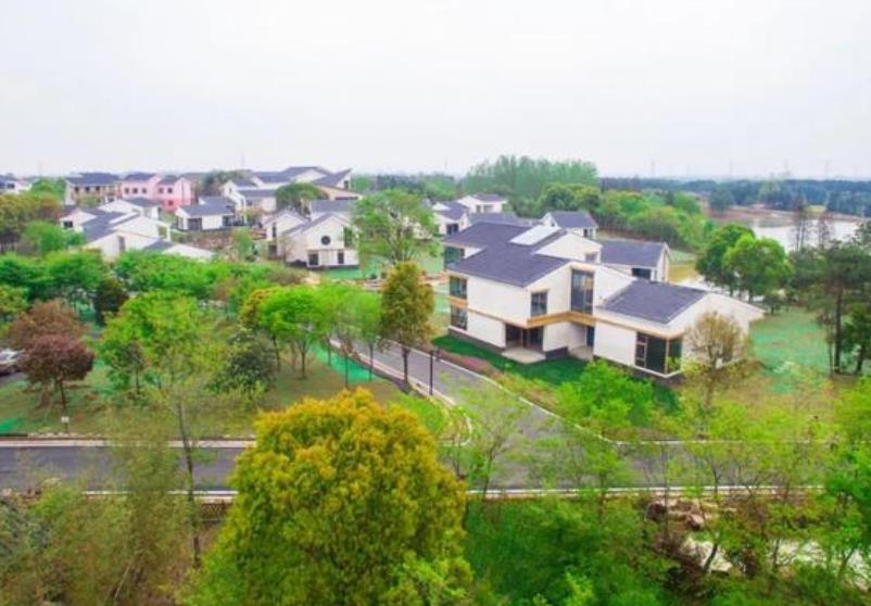 江苏真实的农村面貌,楼房普遍是二三层高,江苏农村没浙江富裕?