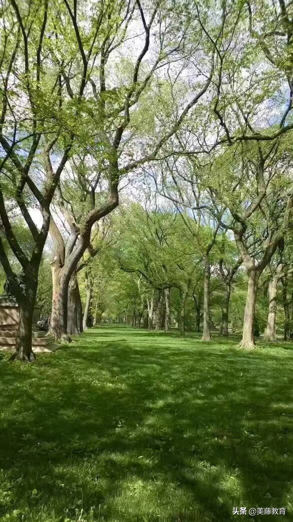 你知道利兹大学这么牛吗,你知道昆士兰大学这么牛吗