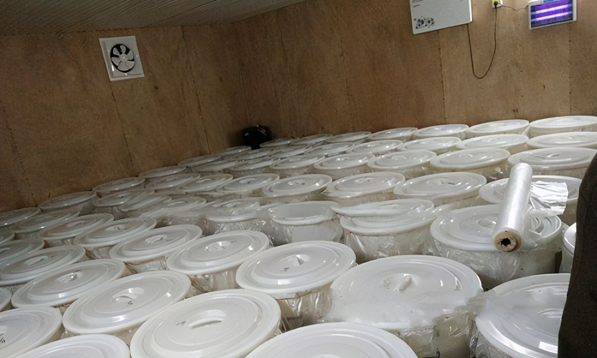 使用小型酿酒设备怎么酿制杂粮酒,小型酿酒设备出酒效率高怎么选择