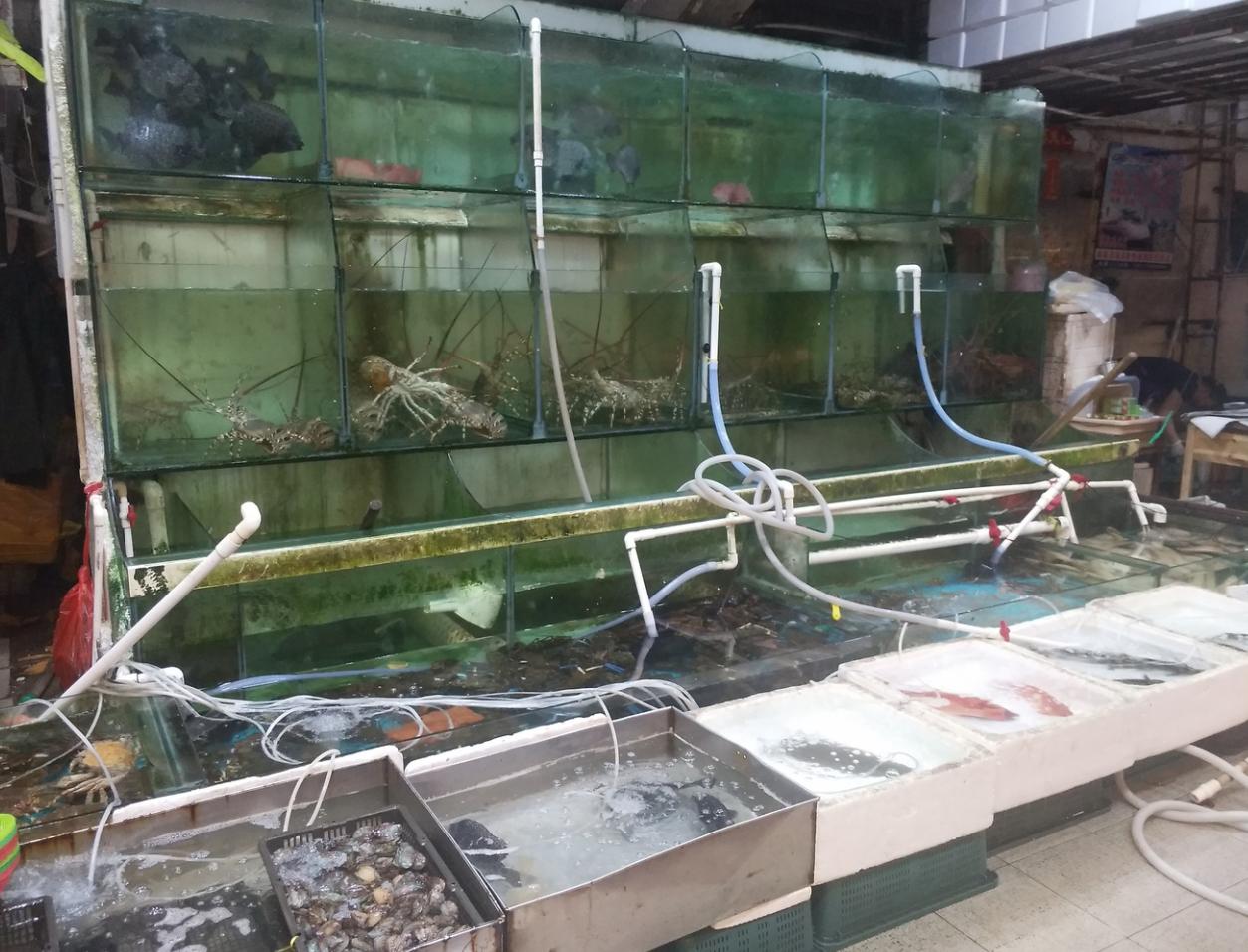 国庆节自驾北海旅游攻略,国庆去北海去哪里吃海鲜