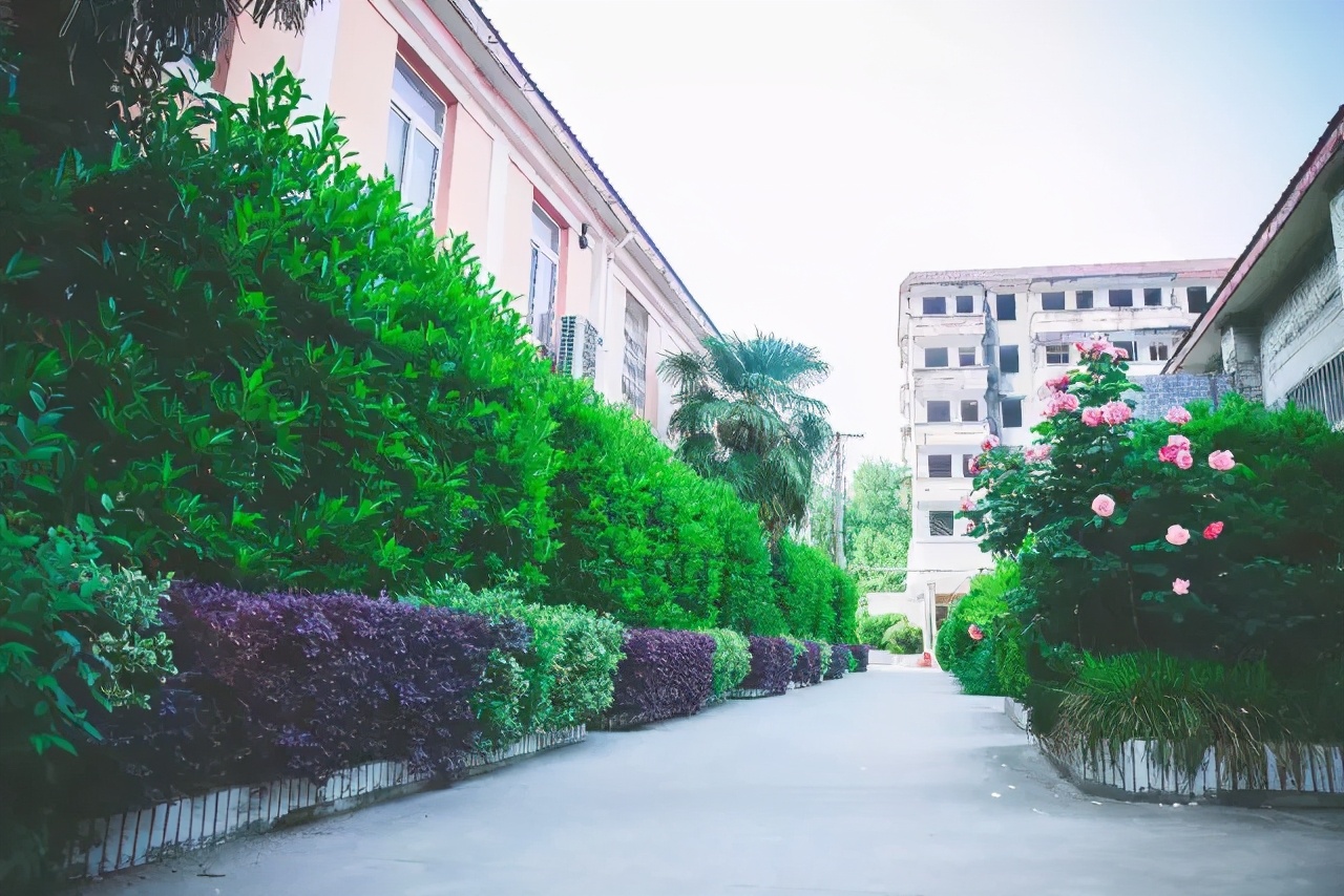 芜湖二中老校区,芜湖二中校区最新消息