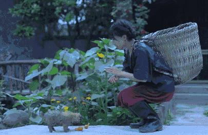 娶妻当娶李子柒小说作品列表,娶妻当娶李子柒前一句是啥