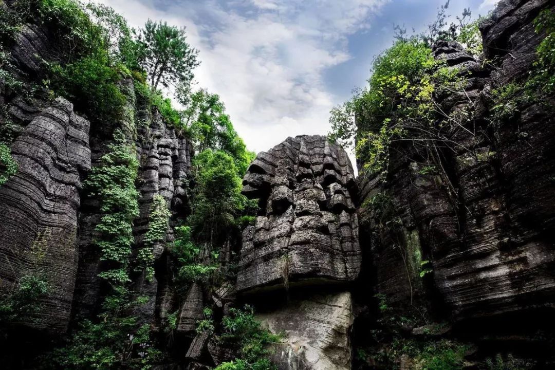 九峰源丨千年神农架，情系女儿城