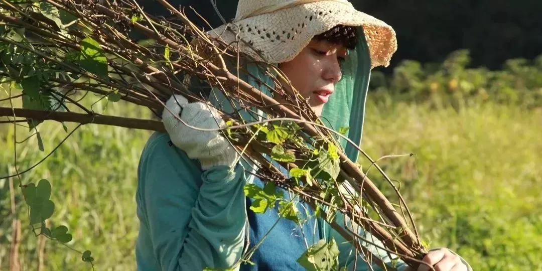 天然染色剂衣服,天然蓝染系列介绍