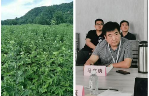 访南阳绿莹艾草生物制品有限公司董事长马文晓