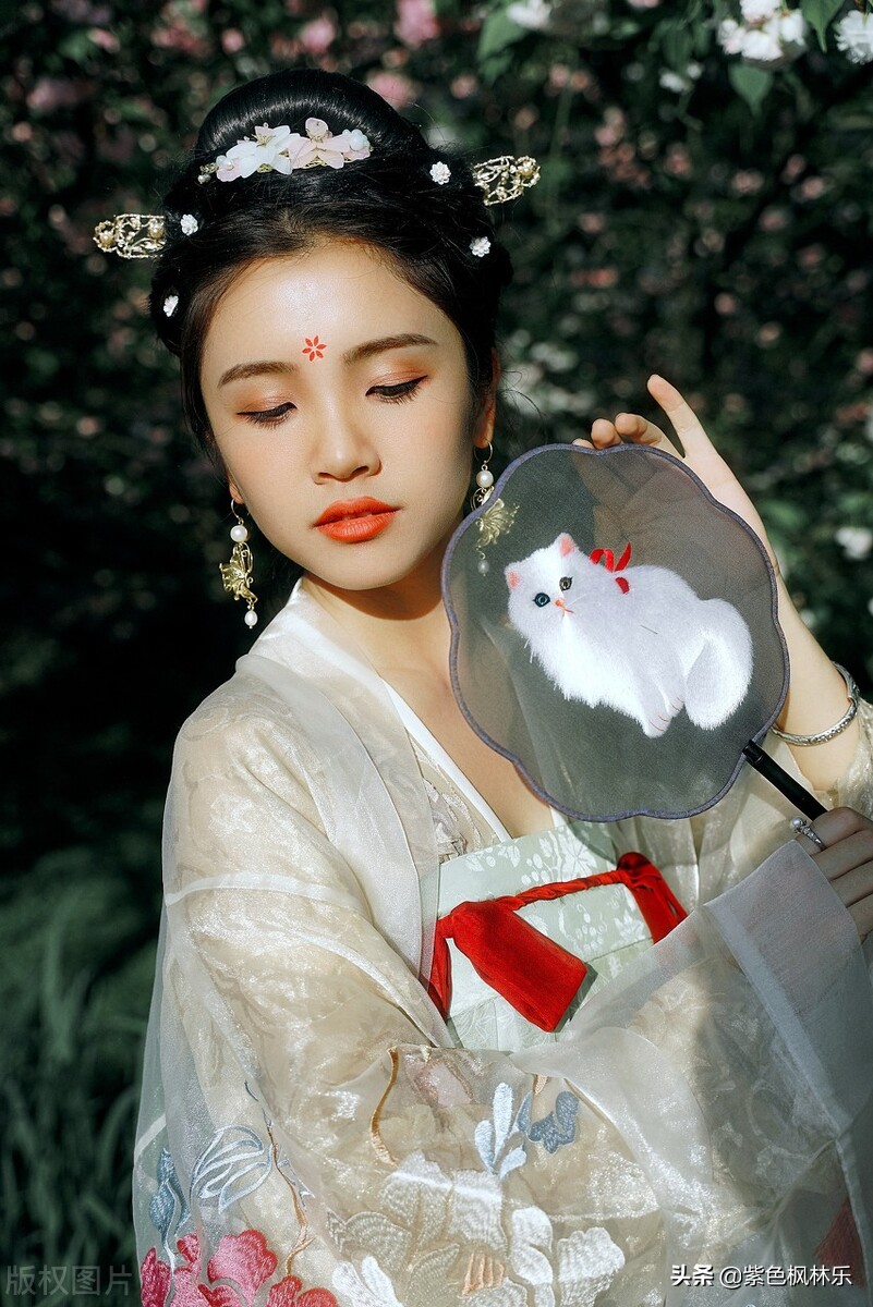 奶奶的故事全集在线听,奶奶的故事电视剧全集