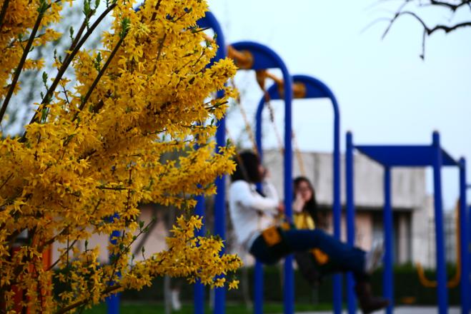 最新！又一重要榜单发布，涉及全国893所本科院校