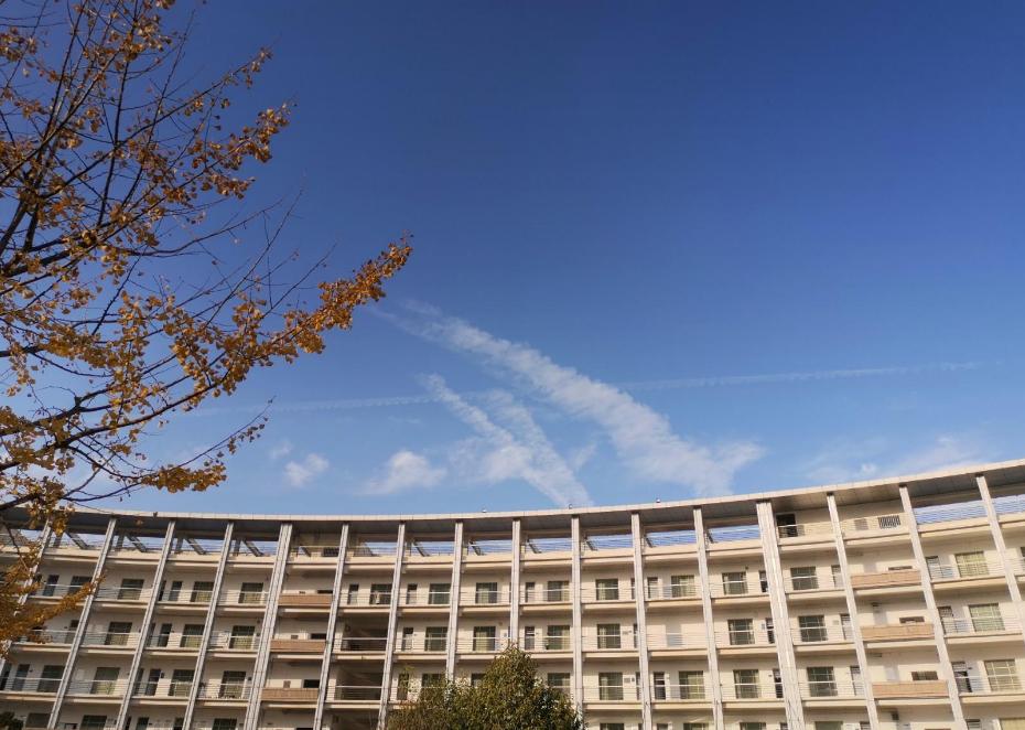 入职华为上哪所大学比较合适,进华为不是全日制大专可以进吗