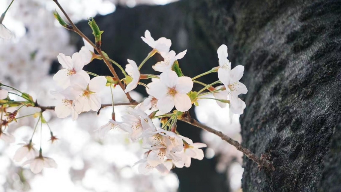 你花一整天搜索资料，居然不如新员工一分钟？