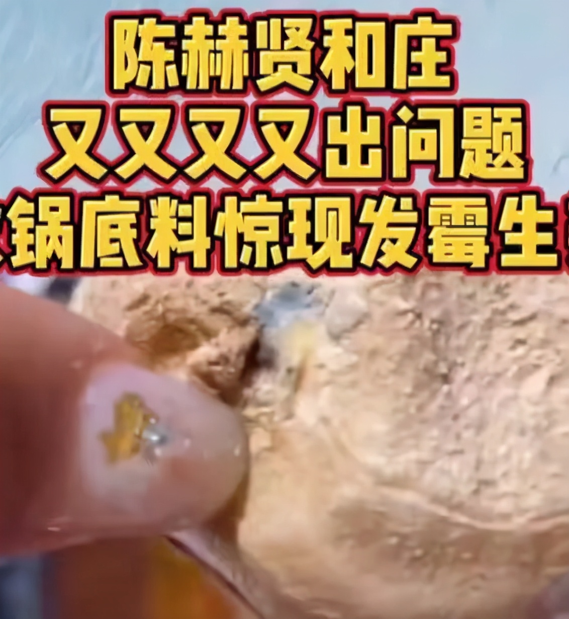 网红火锅店被打,网红在海底捞被骂