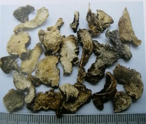 止血收敛的药有哪些,收敛止血中成药有哪些