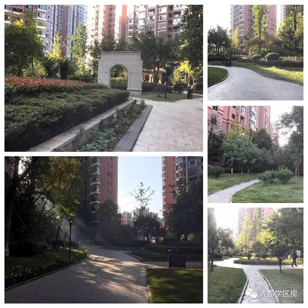 天府新区私立小学招生简章,天府新区第六小学对应初中