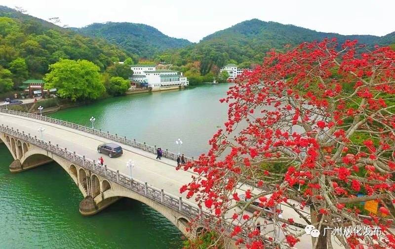 夜晚的从化,从化温泉夜生活