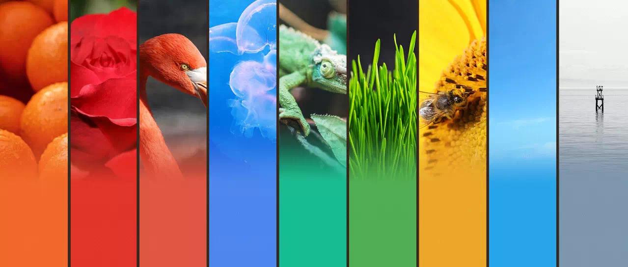 6个神级ppt辅助工具,ppt辅助教学神器