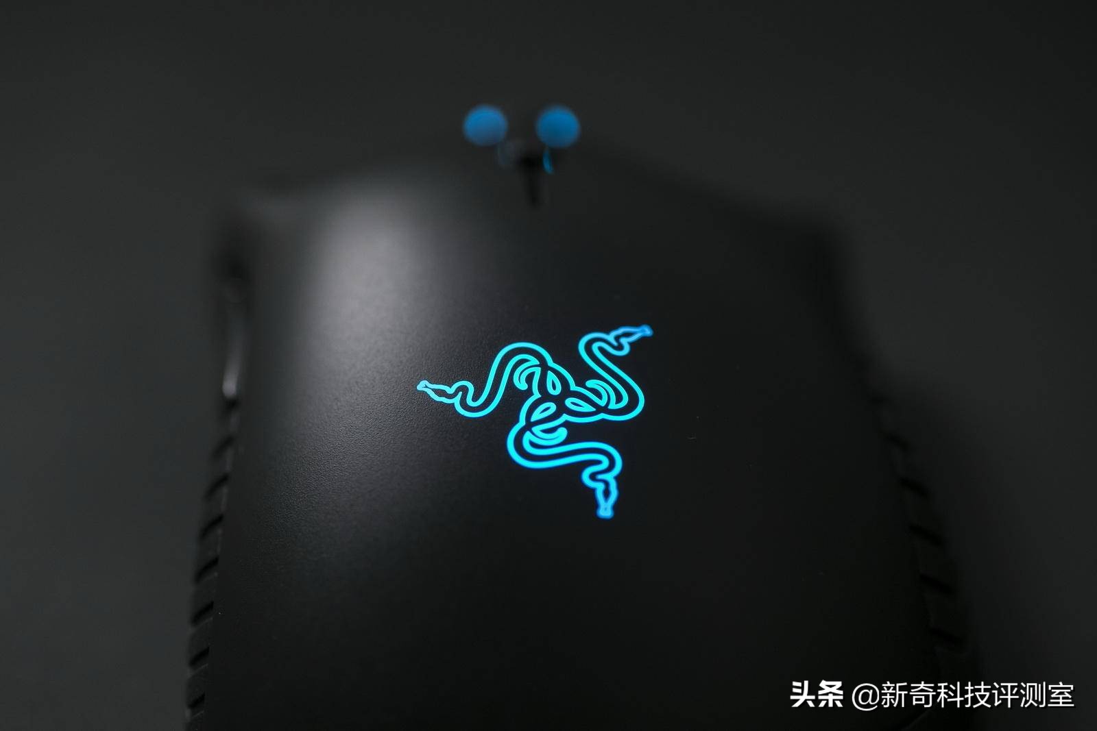 真香警告的电影,真香警告原版免费观看