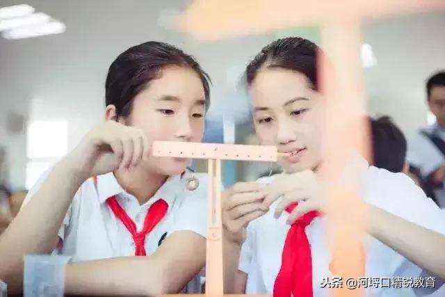 杭州民办小学学校录取结果查询,杭州西湖区民办小学报名人数