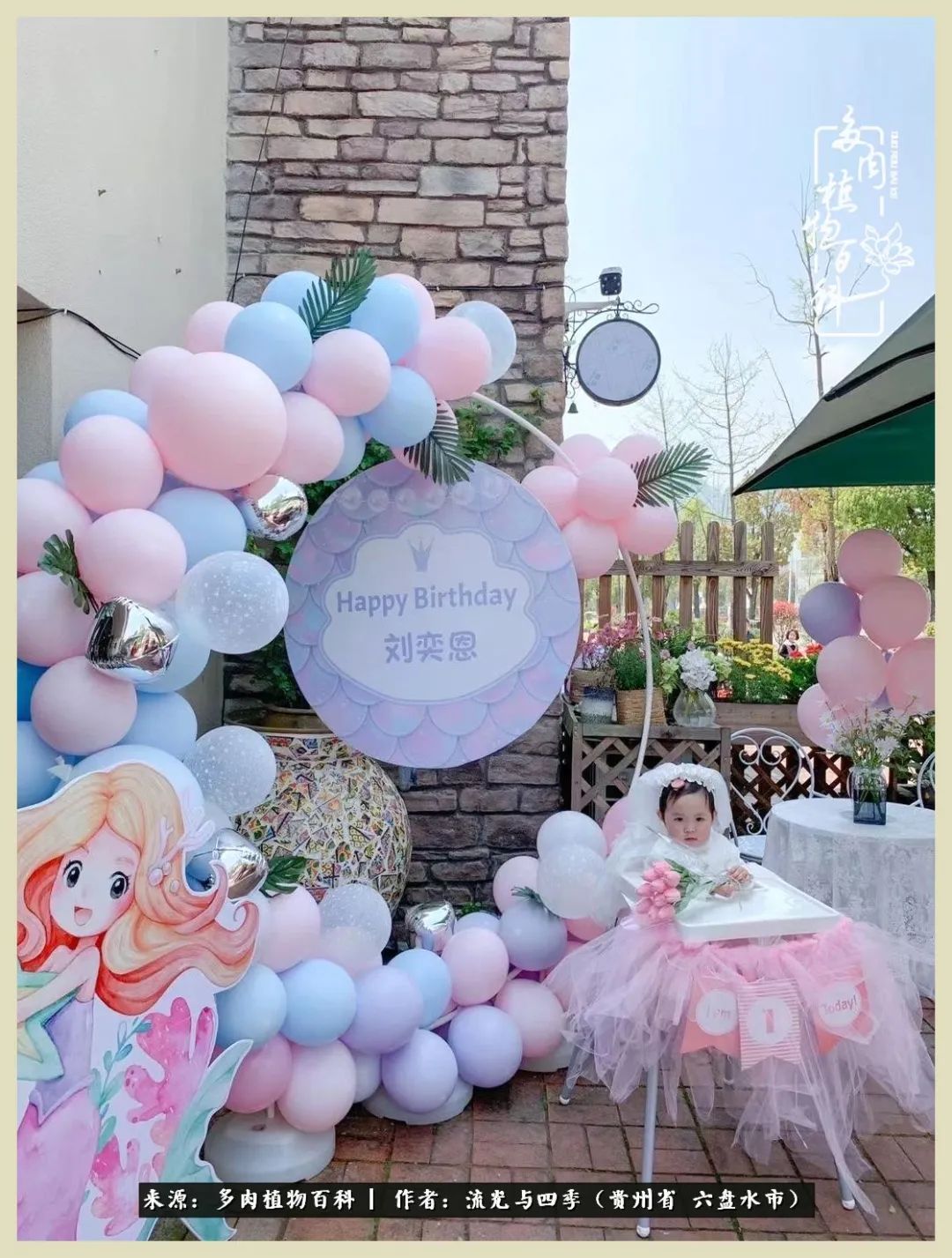 国庆假期你快乐吗?来,凉都美肉与你相伴一一小乌木的霸气东云