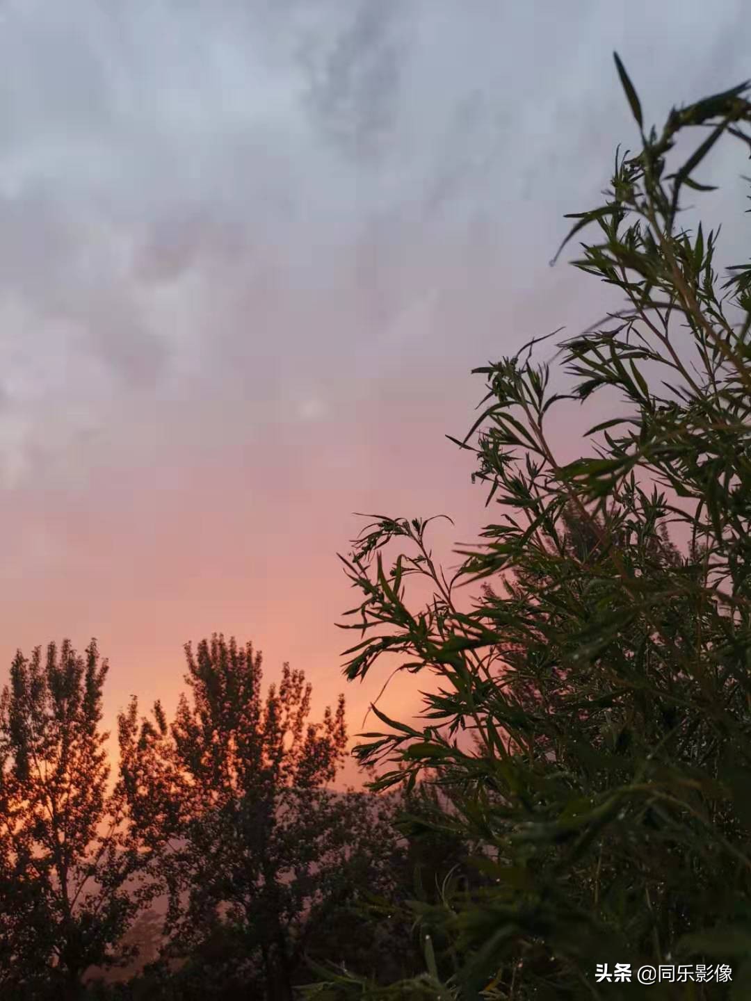 河南汝阳靳村鱼山,靳村鱼山