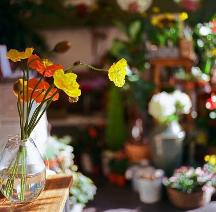 qq留言短句可爱,给暗恋的女生的暖心留言句子