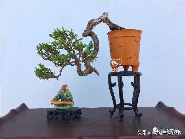 鎮礀缁濆閫㈢敓,鎮礀鐩嗘櫙澶у叏