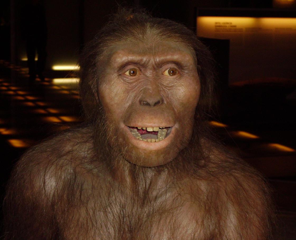 人类怎么知道恐龙距今多少年,怎么知道恐龙是6500万年前灭绝的