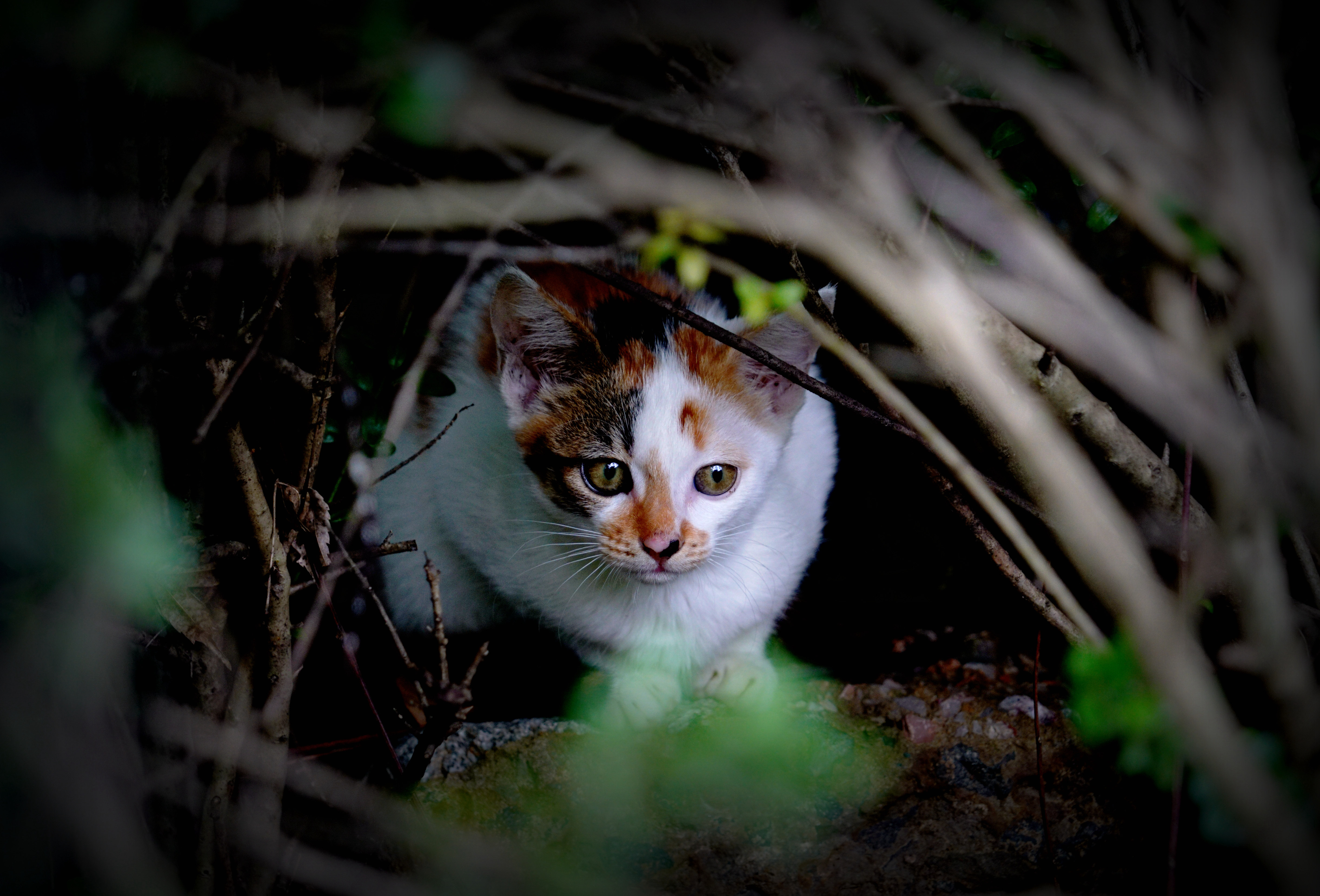 摄影师田晓：从镜头中寻找新感觉