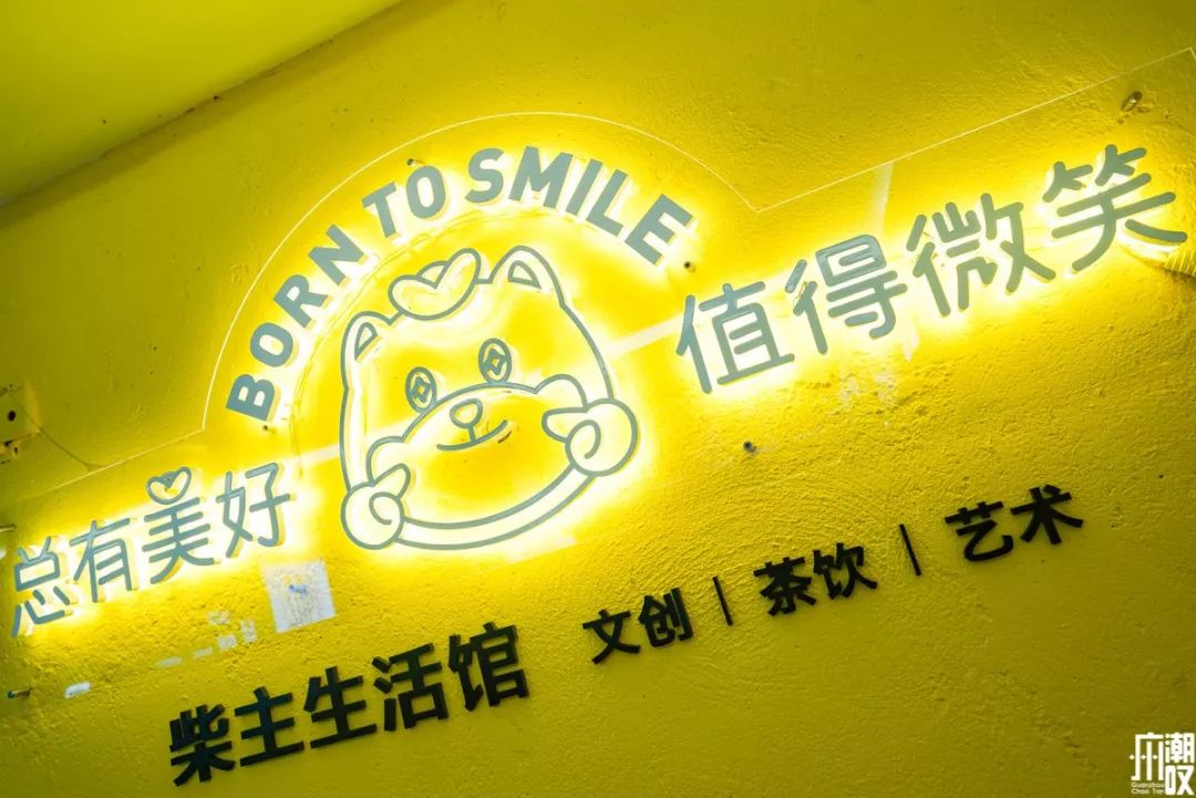 新潮展览+撸狗，广州这家新开的汪星人主题店萌爆了