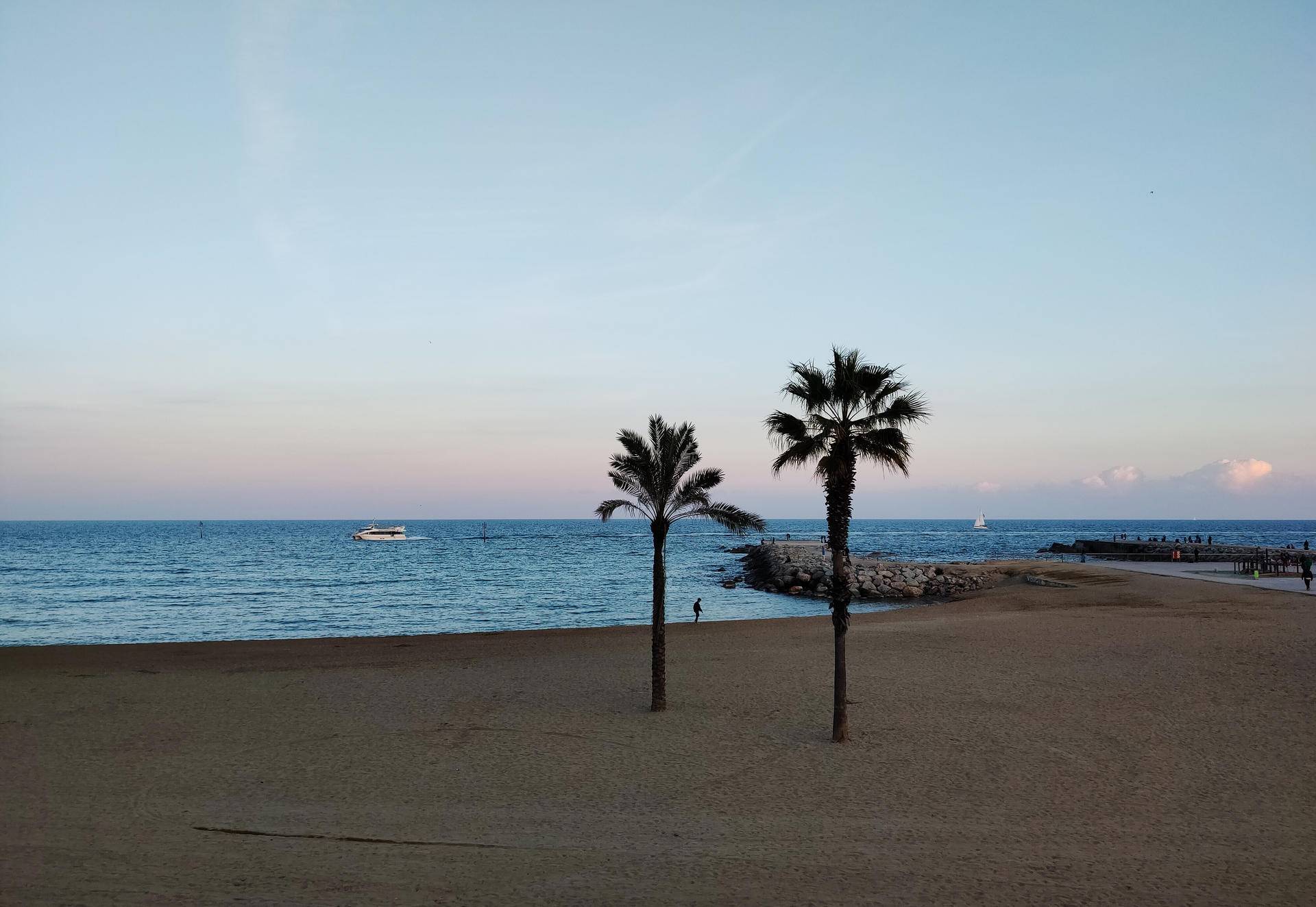 OPPOReno能否成为全球智能手机拍照王,看完这些样张你就明白了