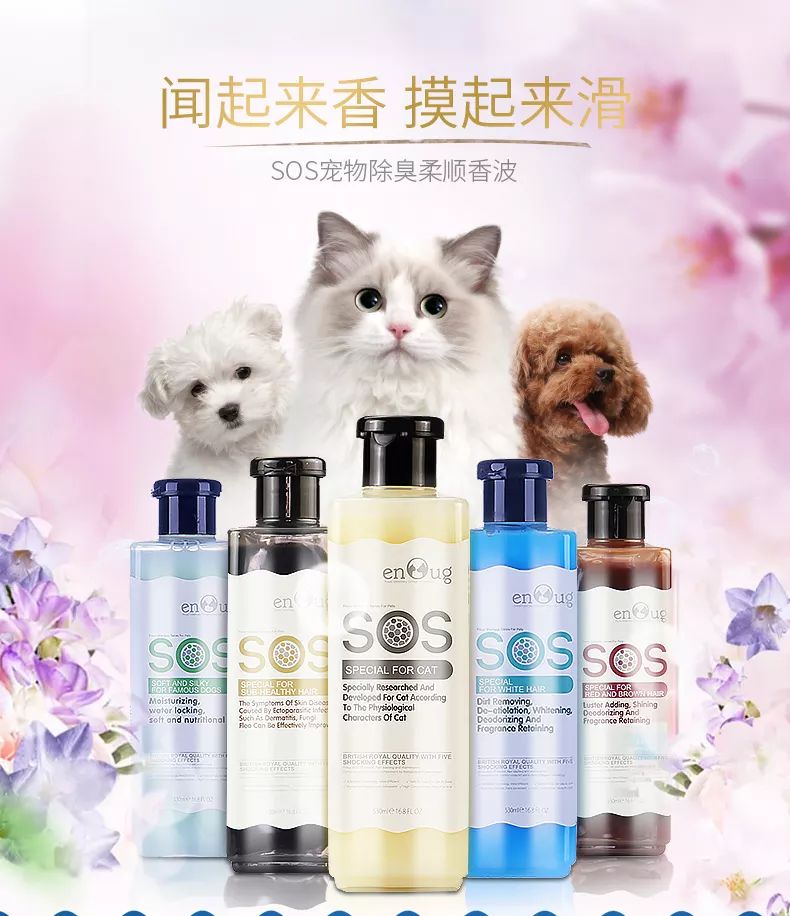 猫狗双全必备清单,猫狗主子的日常