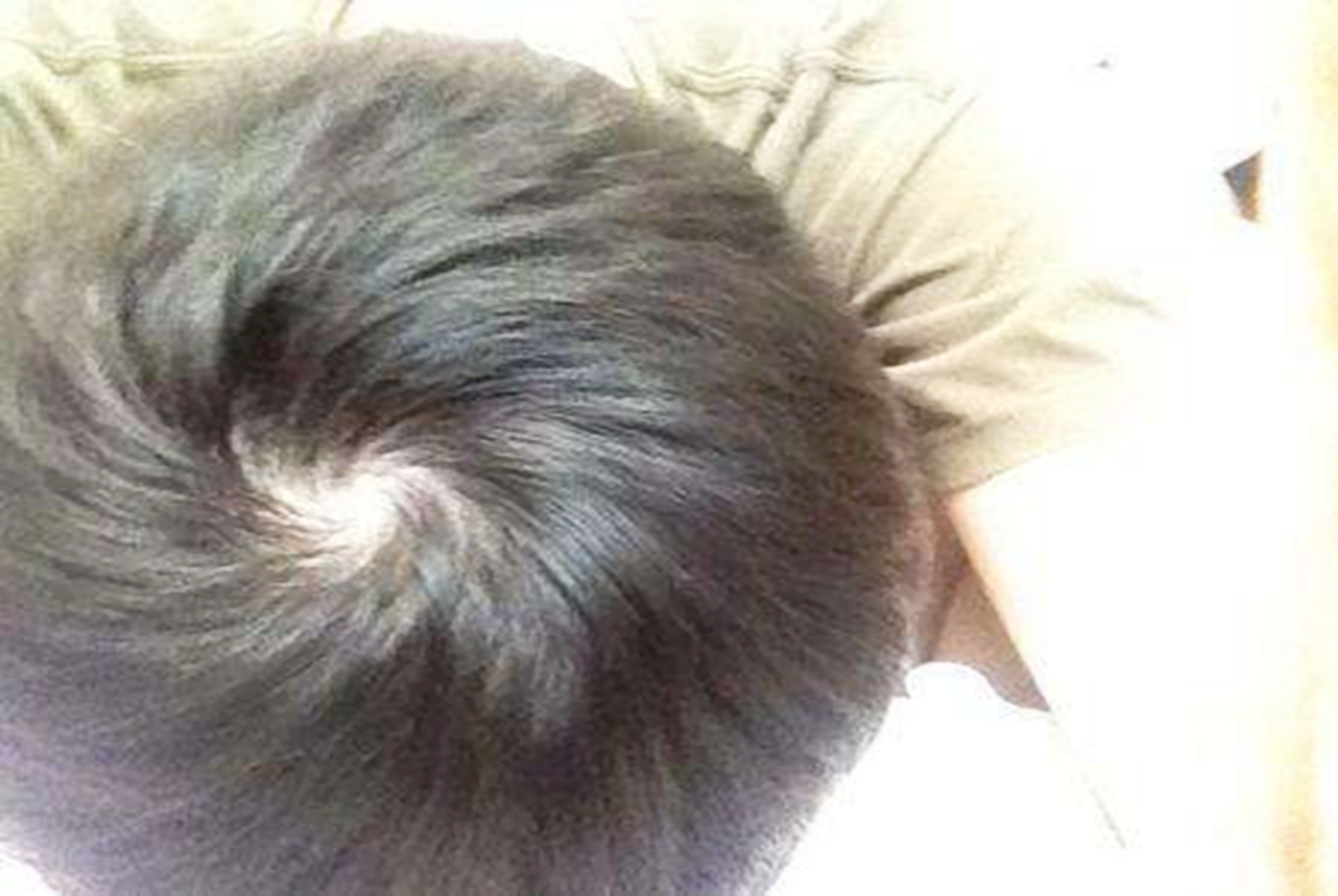 头旋决定性格和智商,头旋决定孩子的性格和智商