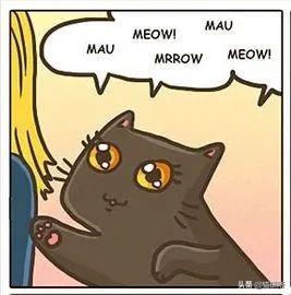 猫咪总是打扰主人吃饭怎么办,猫咪总是打扰我睡觉怎么办