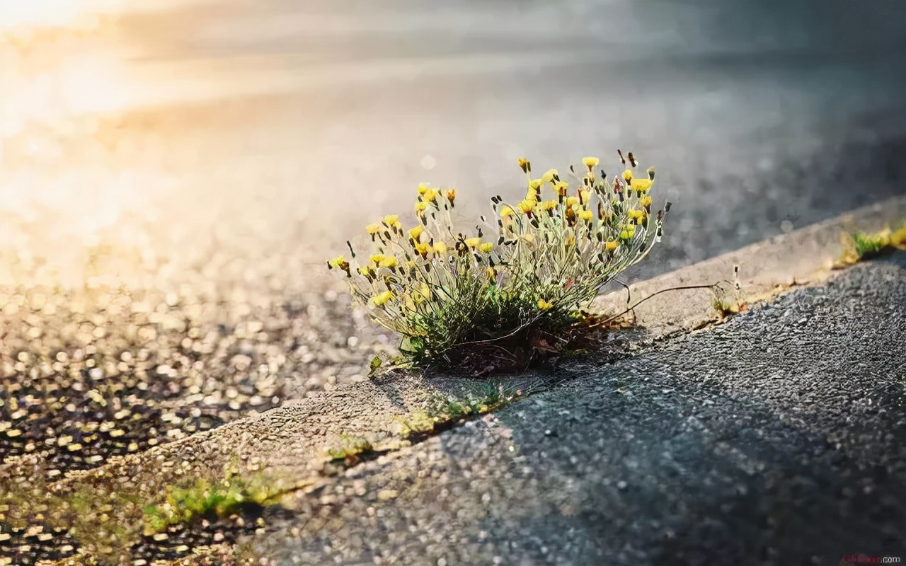 心情不好时怎么快速解决,心情不好该怎样自我开导