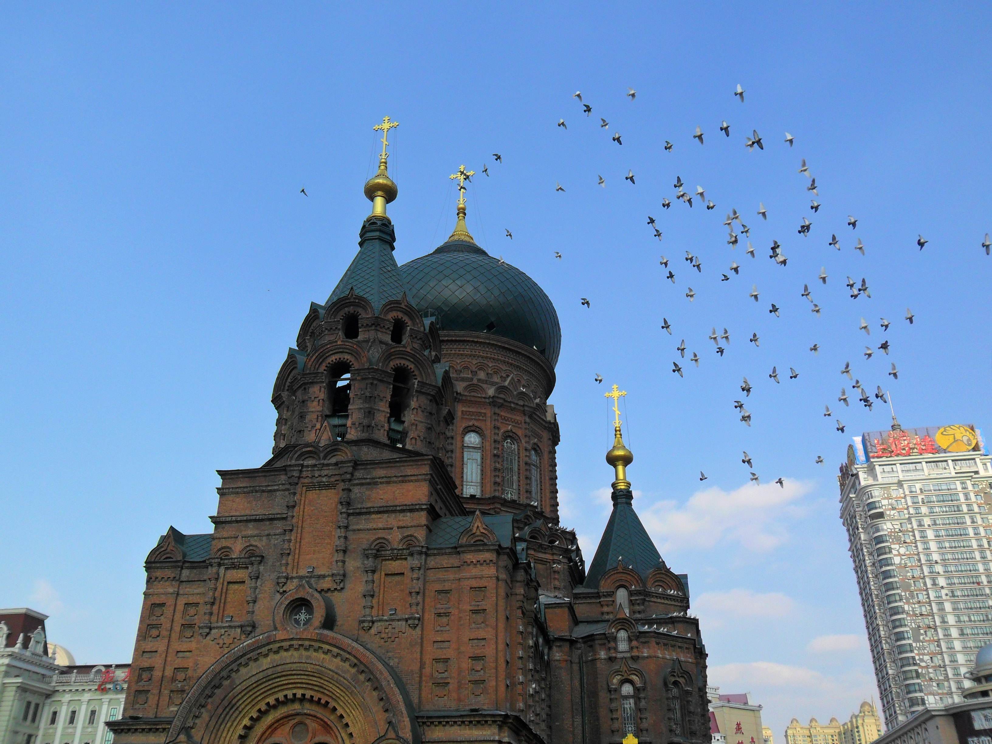 哈尔滨长白山旅游攻略团游,夏季哈尔滨长白山旅行攻略