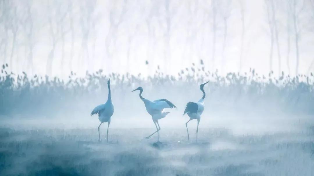 中国边境线自驾游g228与g331,环中国自驾游g228沿海公路