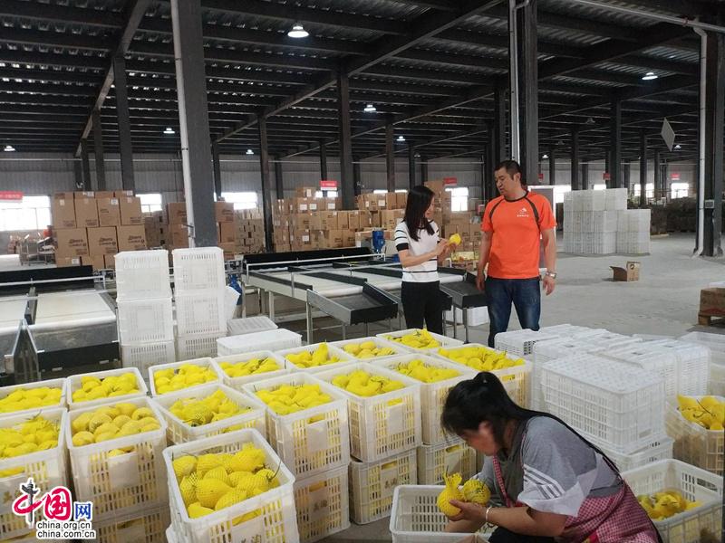 让农民成为乡村振兴的参与者,让农民成为乡村振兴的主力军