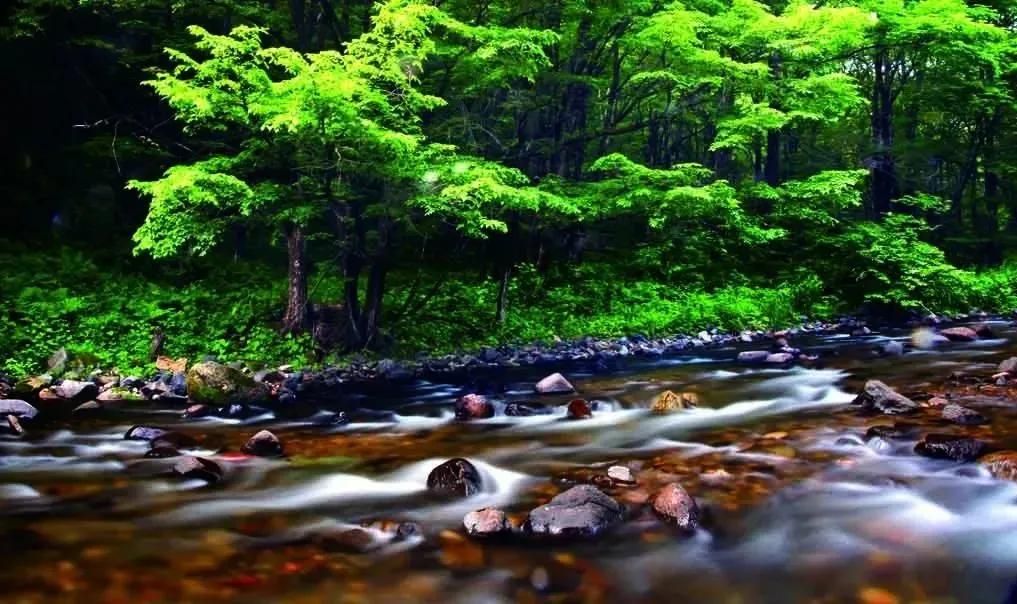 五一旅游如何去长白山,白山市4天旅游攻略