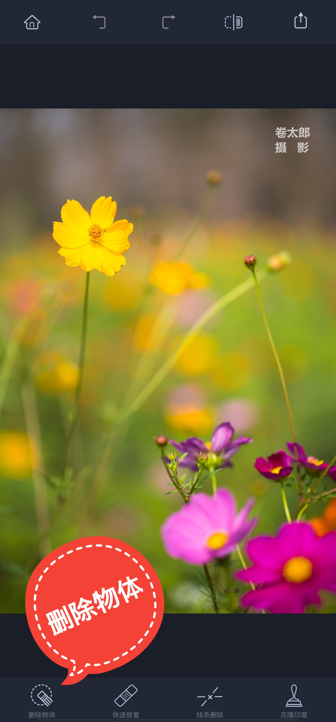 用什么软件可以去掉照片水印,哪个软件可以消除照片上的水印